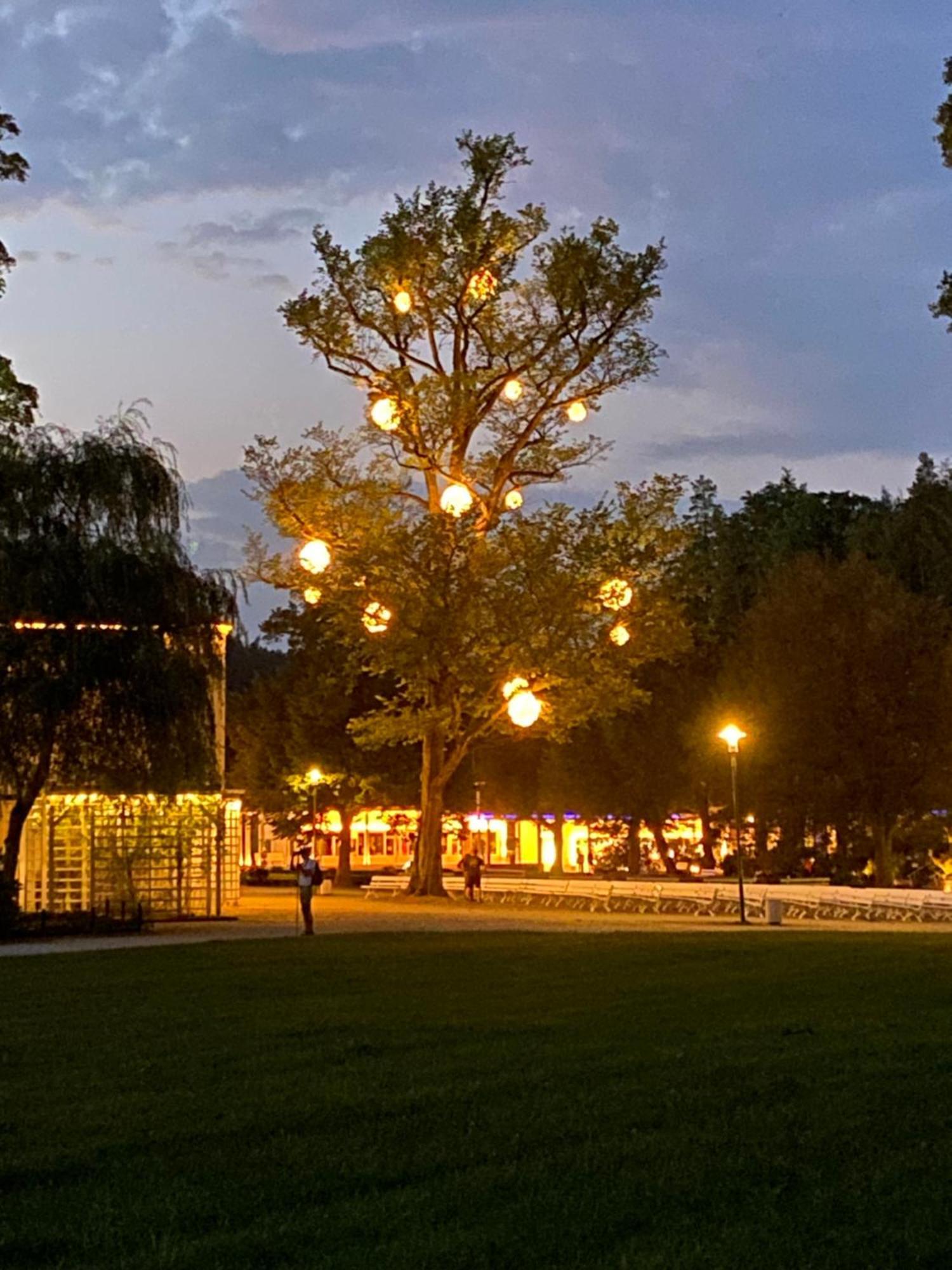 Fewo Roland Ranft Direkt Am Kurpark Barrierearm 60Qm Bad Elster Exterior foto