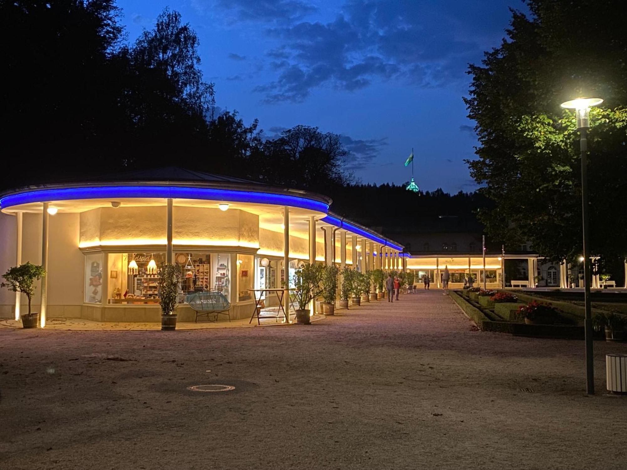 Fewo Roland Ranft Direkt Am Kurpark Barrierearm 60Qm Bad Elster Exterior foto